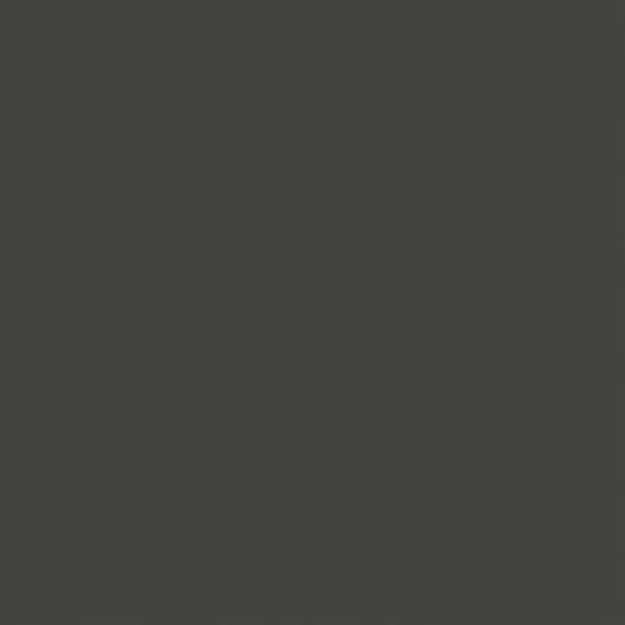 460100132 - 460100132