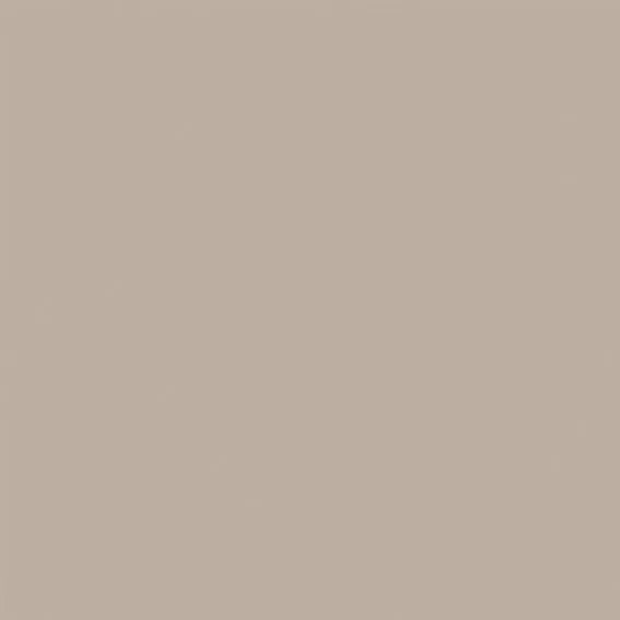 460100171 - 460100171