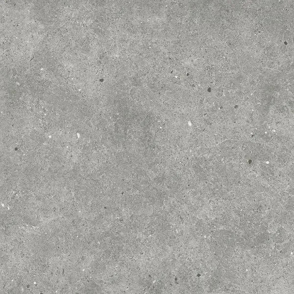 460500018 - 460500018