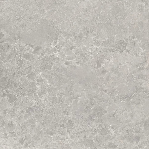 460600006 - 460500051