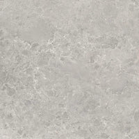 460500051 - 460500051