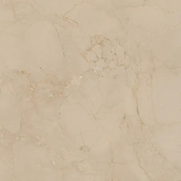 460500081 - 460500071