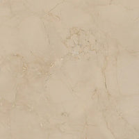 460500081 - 460500071