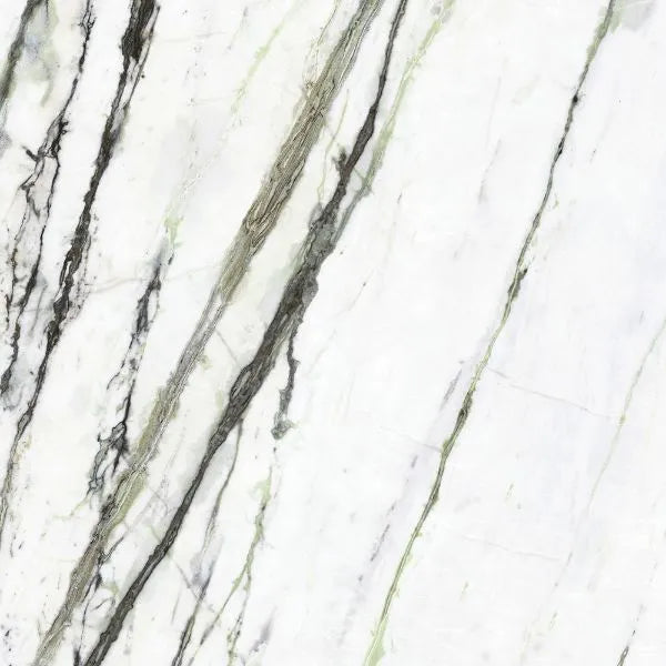 460500186 - 460500186