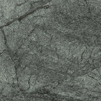 460500187 - 460500187