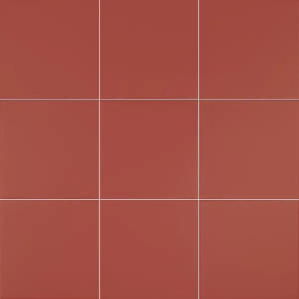 460500204 - 460500204