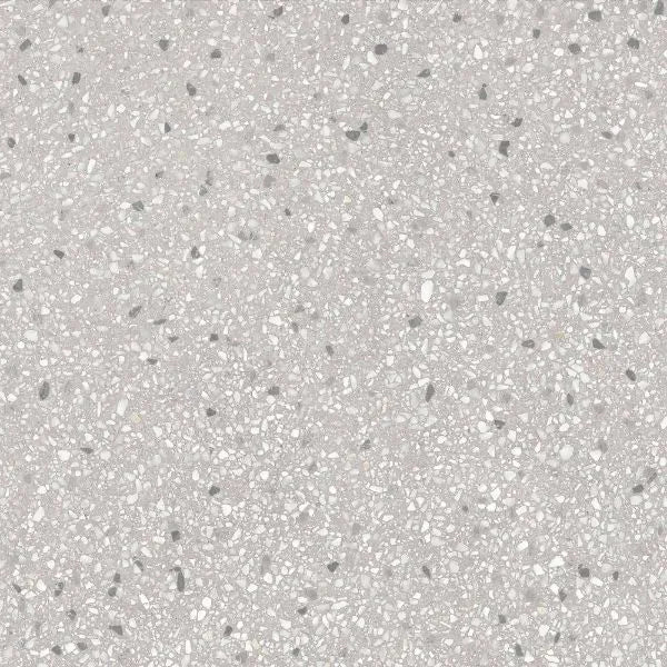 460500225 - 460500225