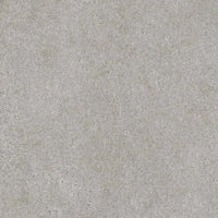 460500484 - 460500638
