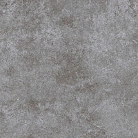 460700004 - 460700004