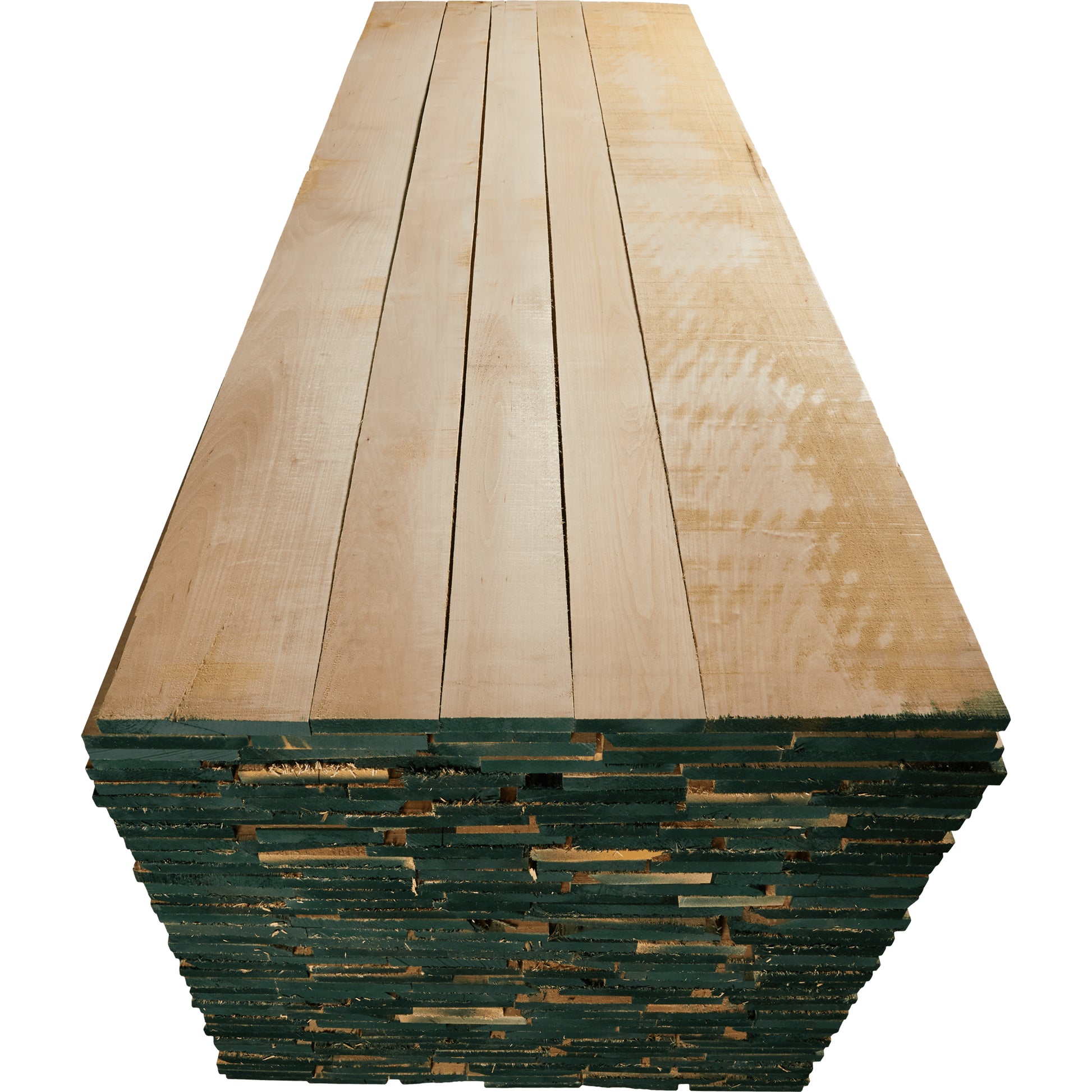 316200001 - Am_Basswood