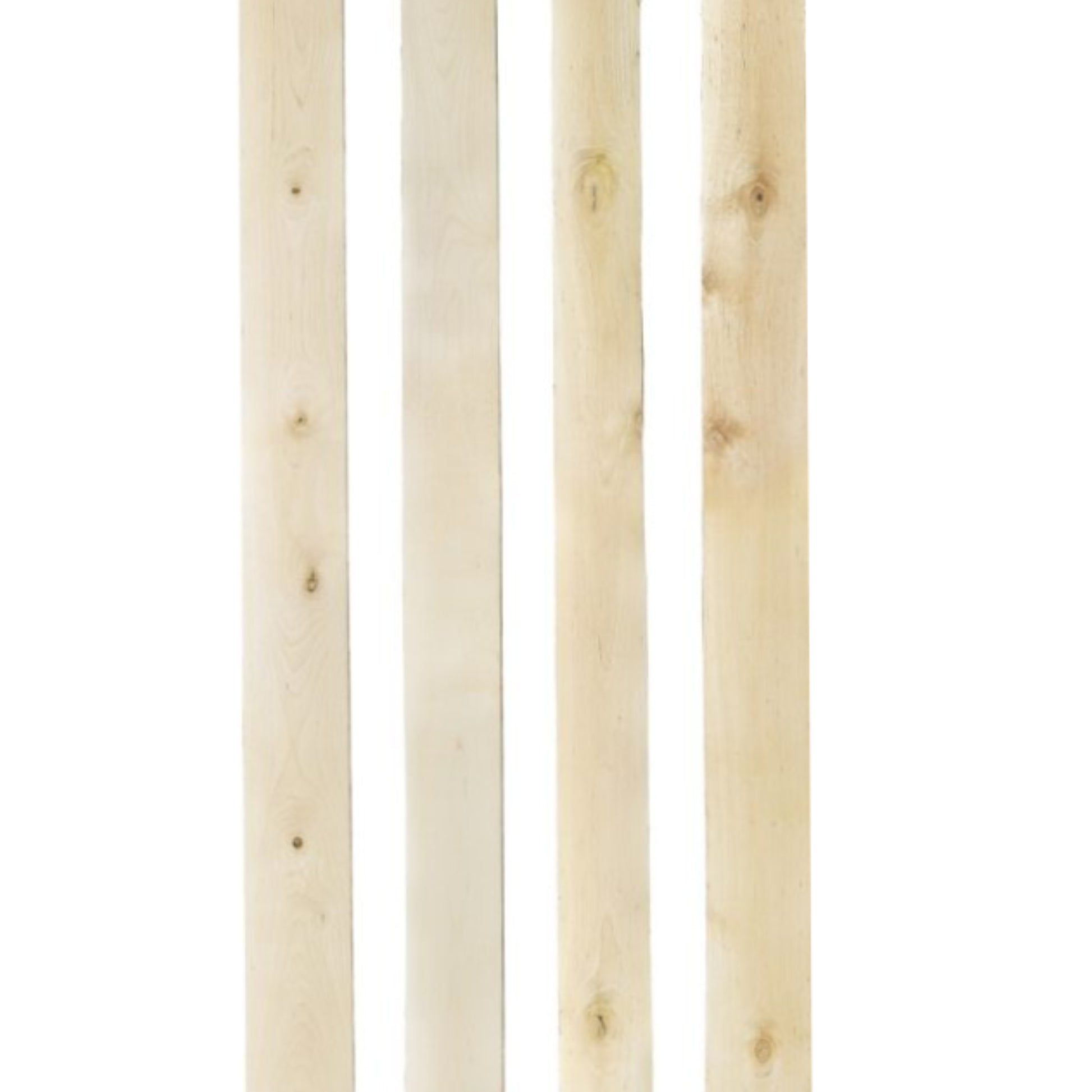 311100014 - Björk_Kant