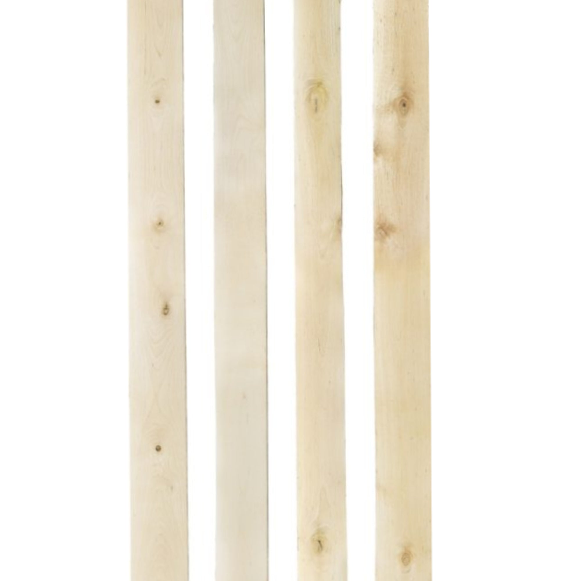 311100014 - Björk_Kant