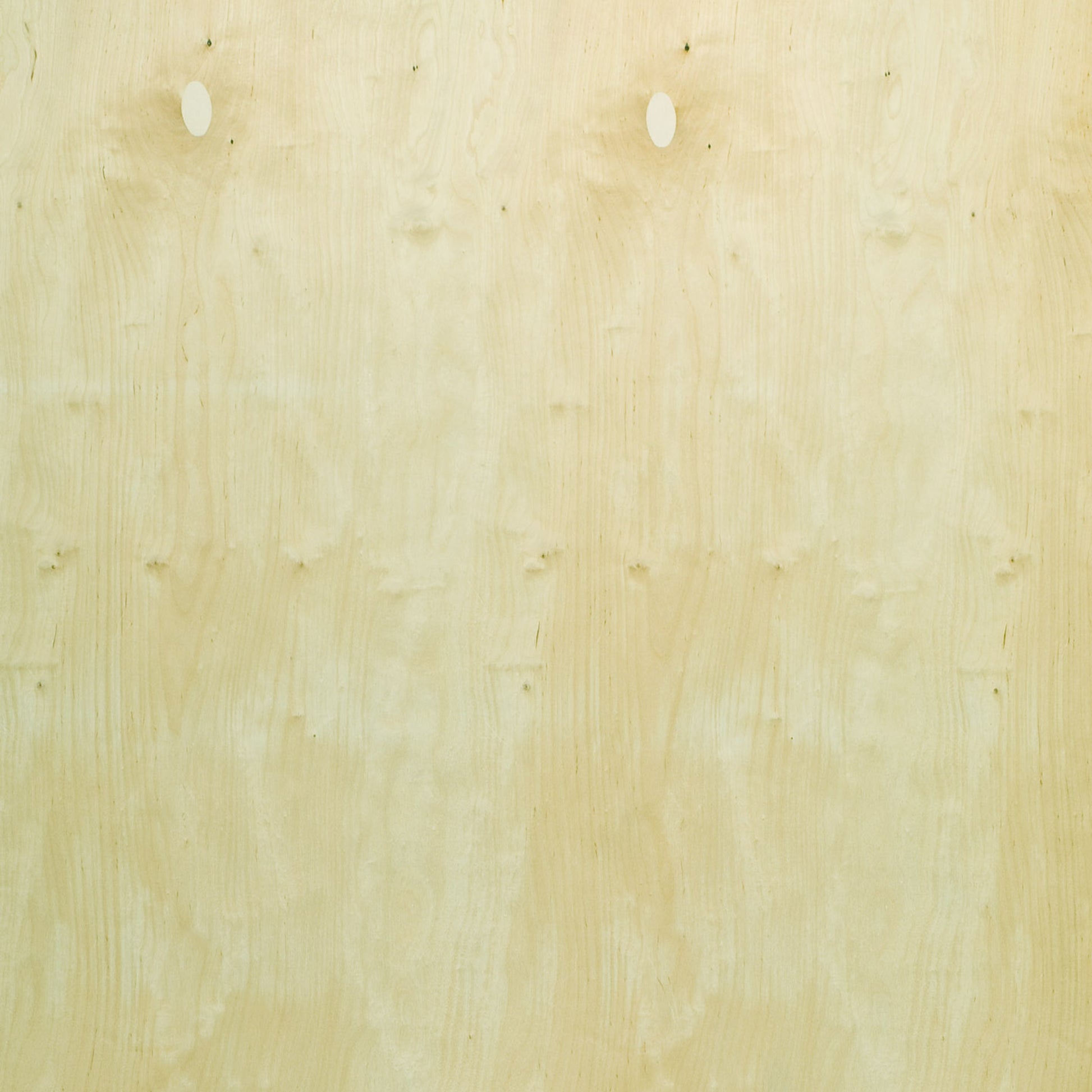 120100059 - Björkply_BB