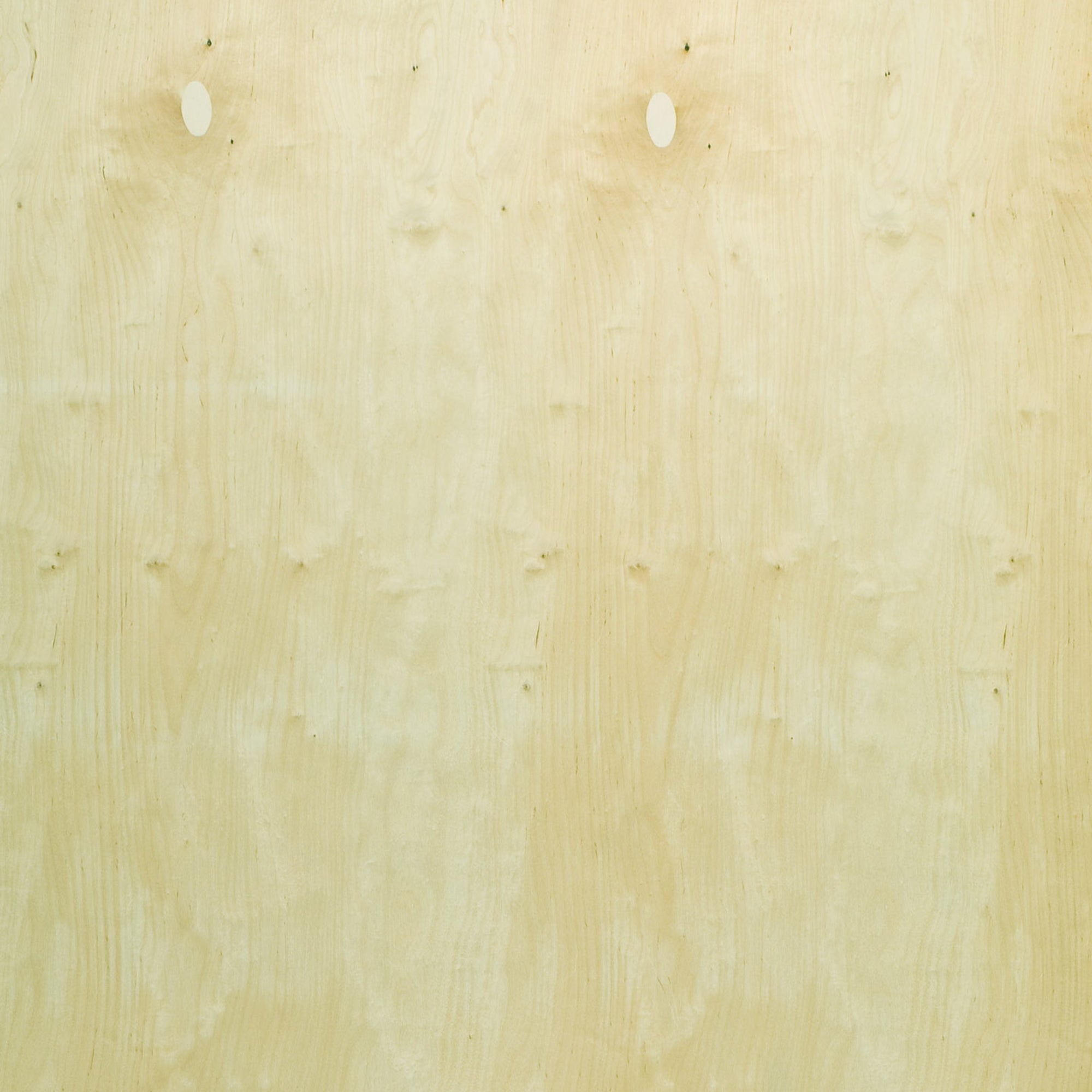 120100046 - Björkply_BB