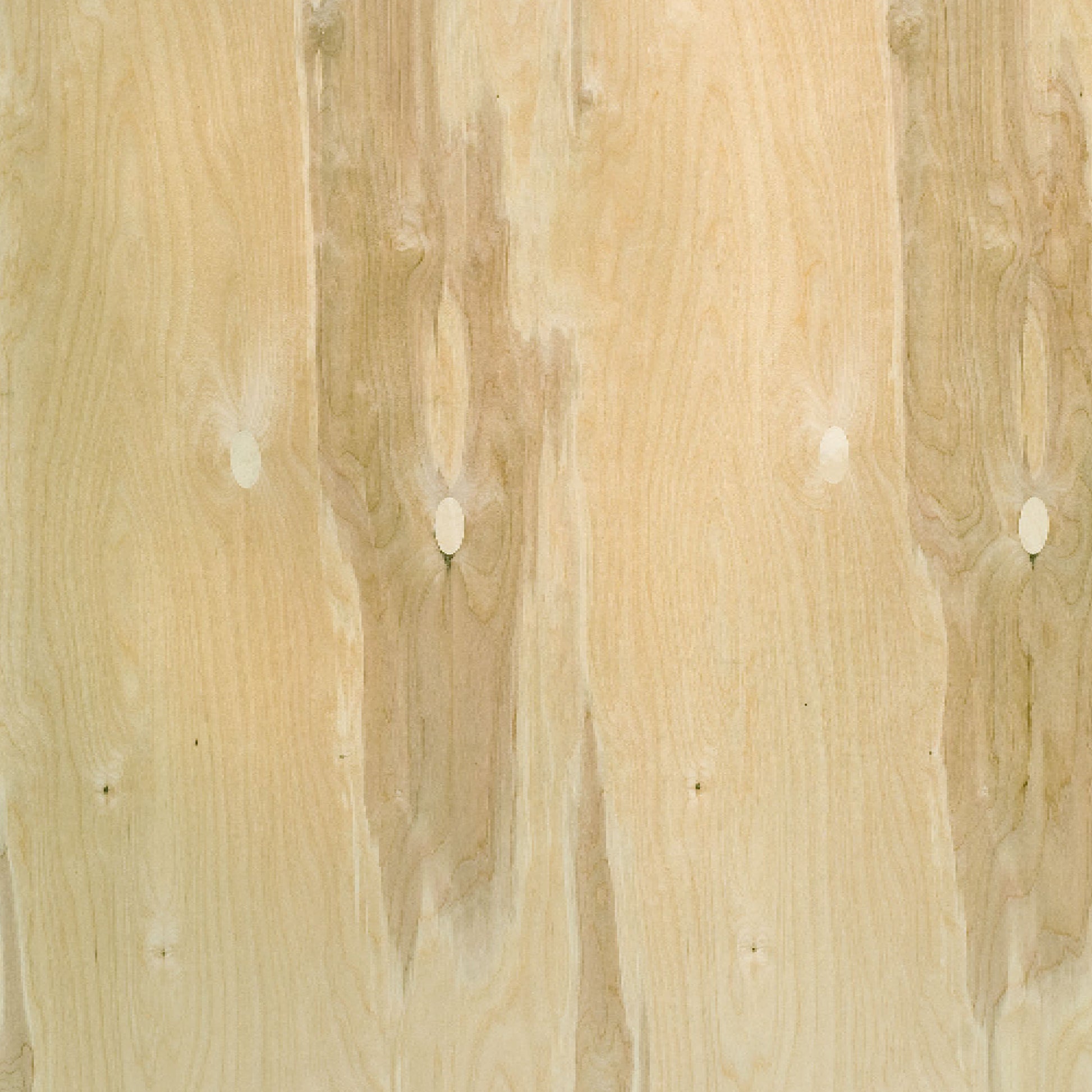 120100015 - Björkply_CP