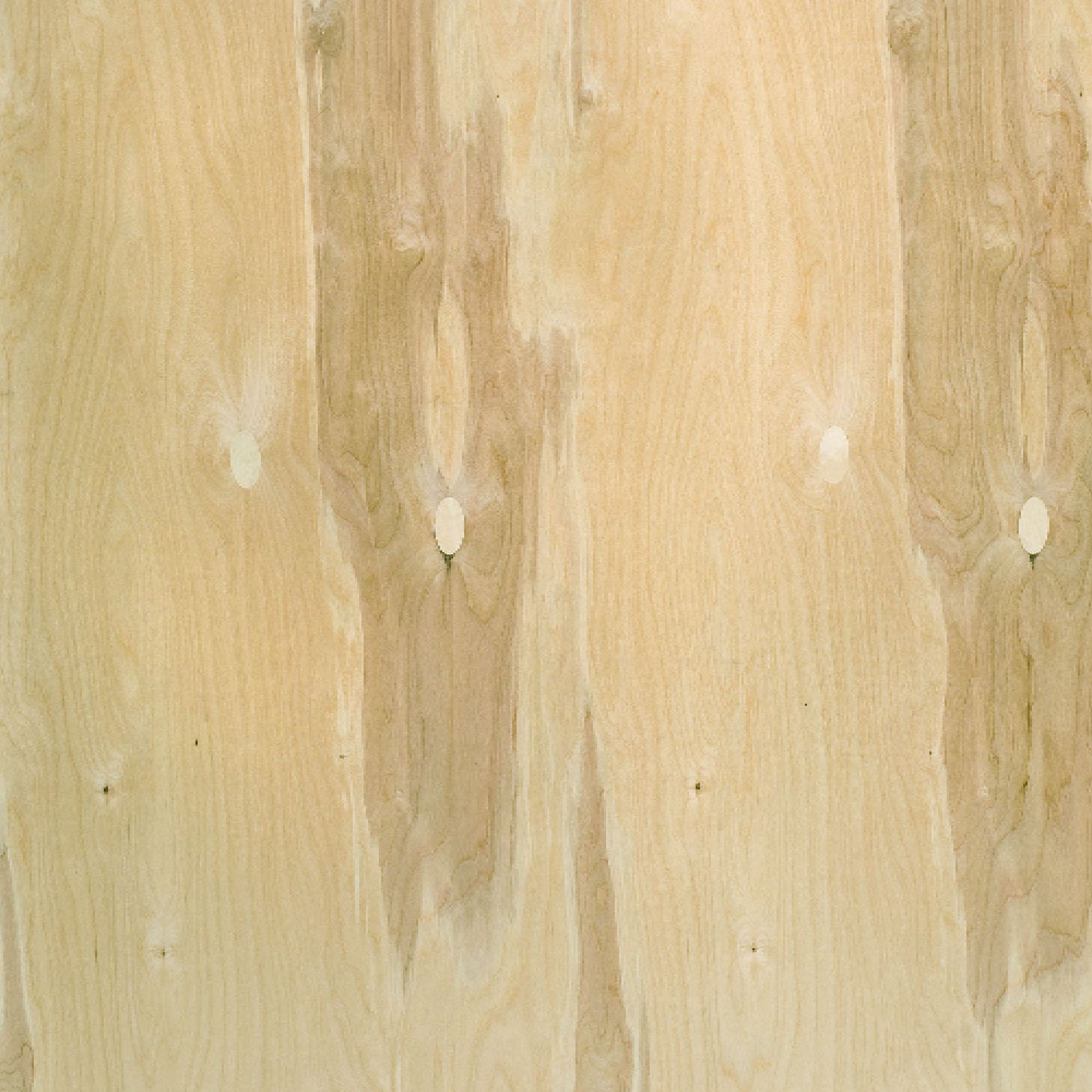 120100041 - Björkply_CP