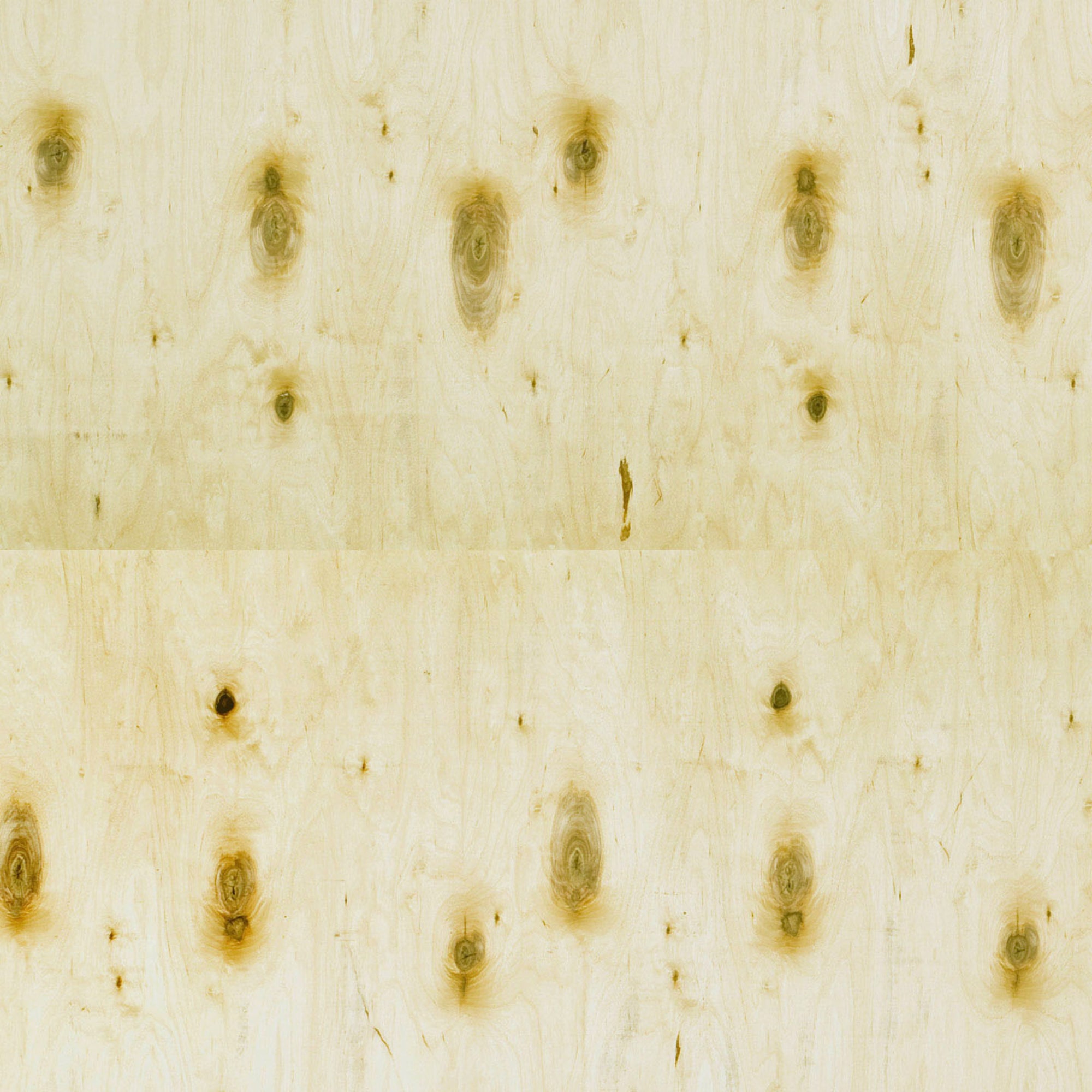 120100141 - Björkply_C