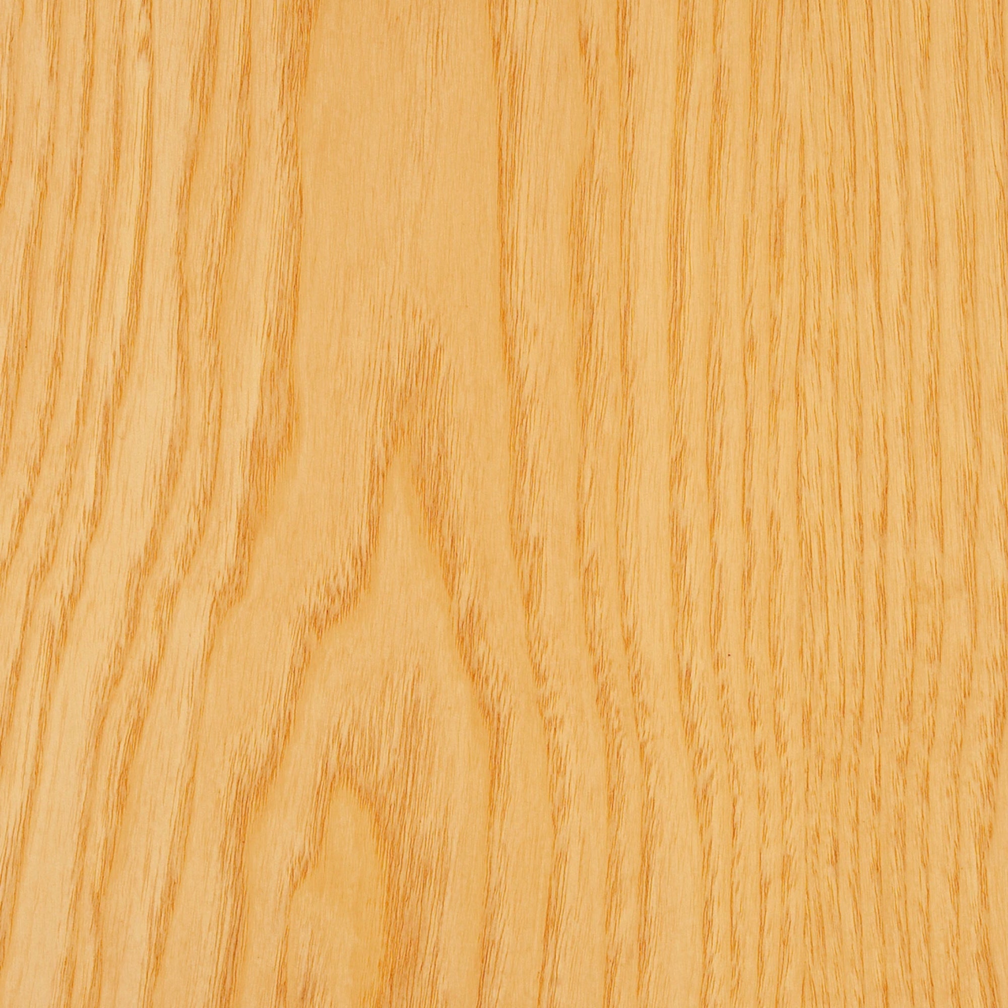 113100086 - Deco_Ask_CC