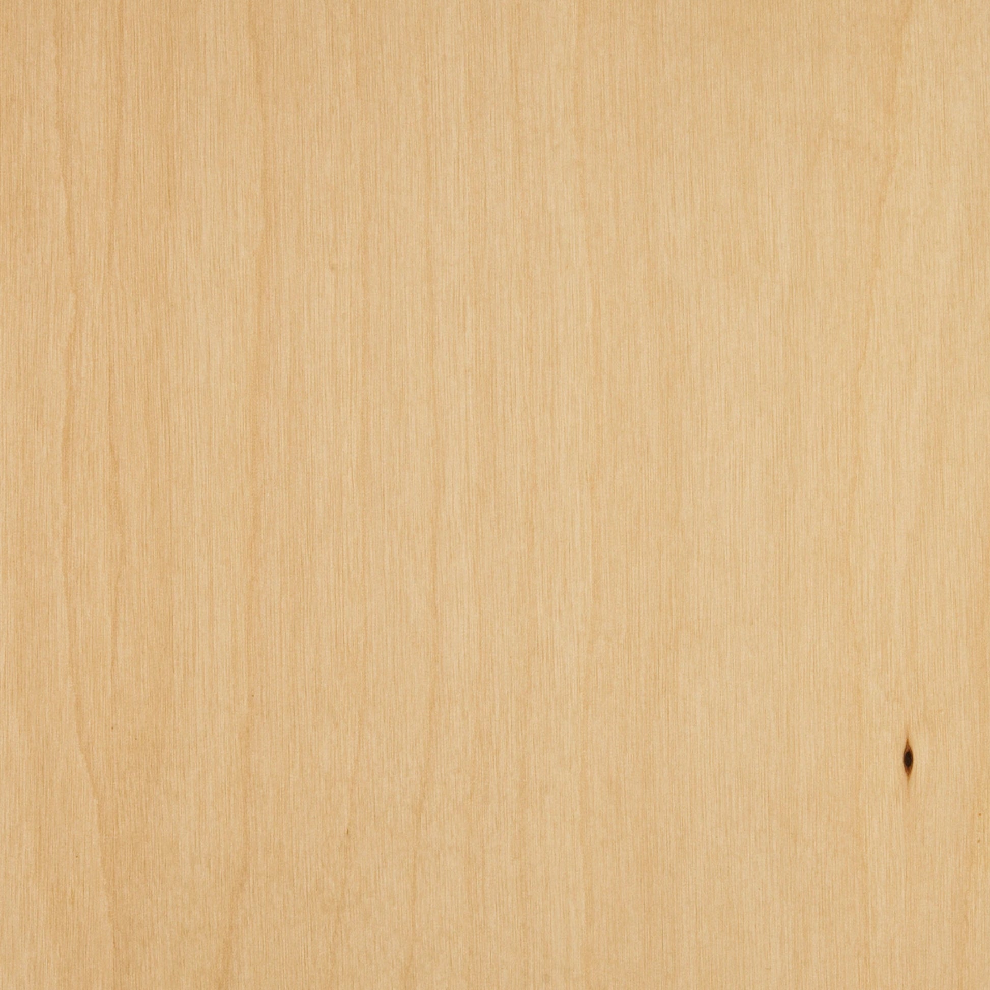 122100073 - Deco_Björk_HS