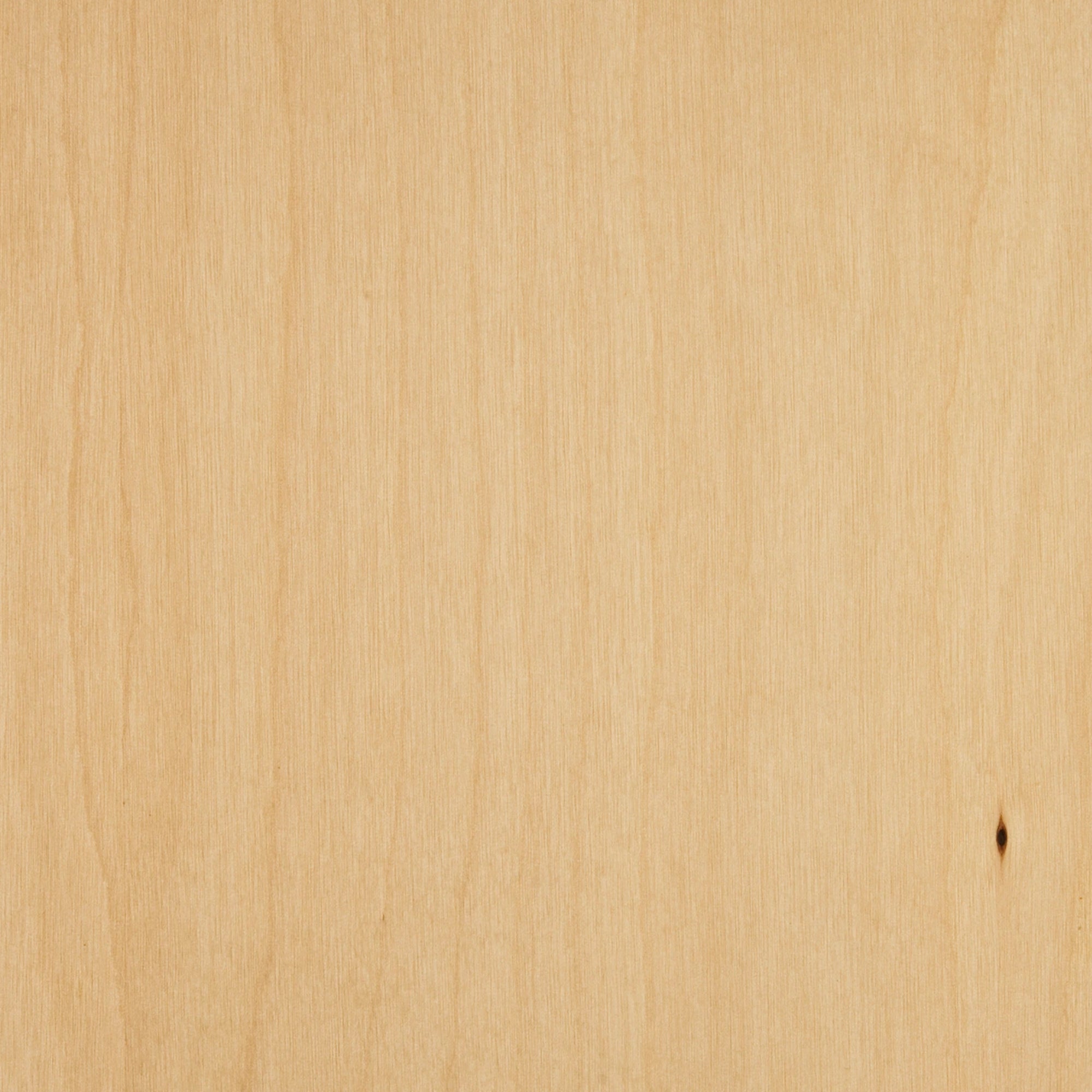 113100131 - Deco_Björk_HS