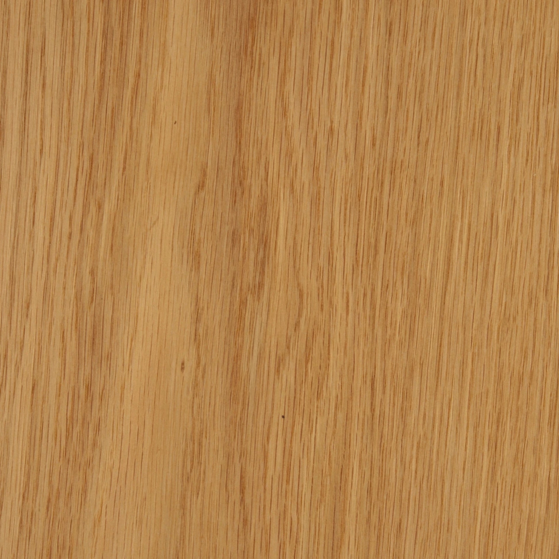 122100006 - Deco_Ek_CC