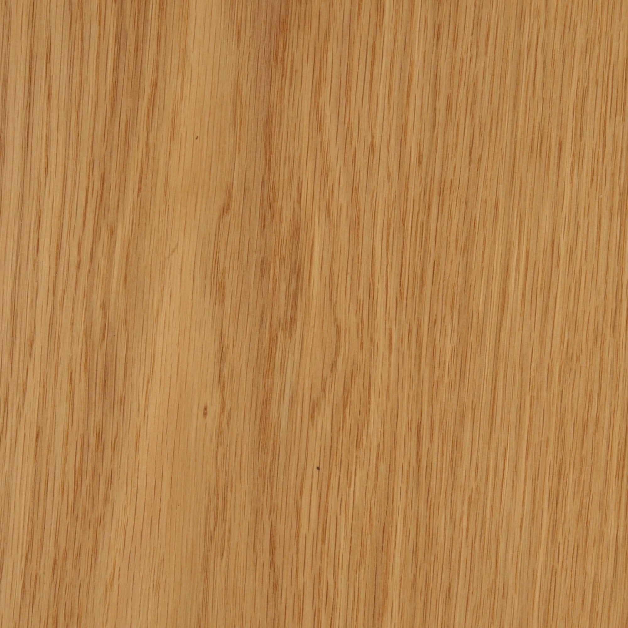 113100096 - Deco_Ek_CC