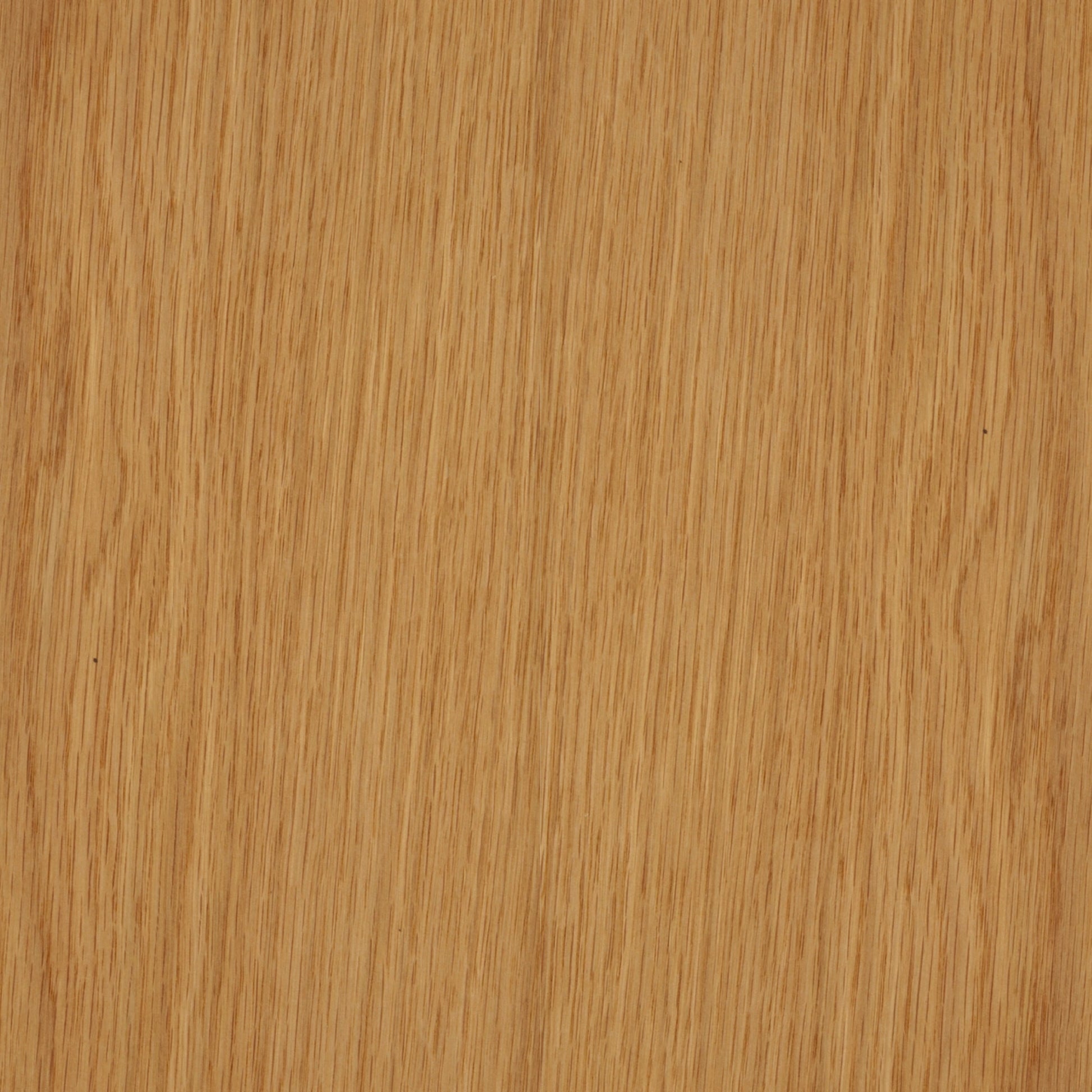 113100060 - Deco_Ek_MM