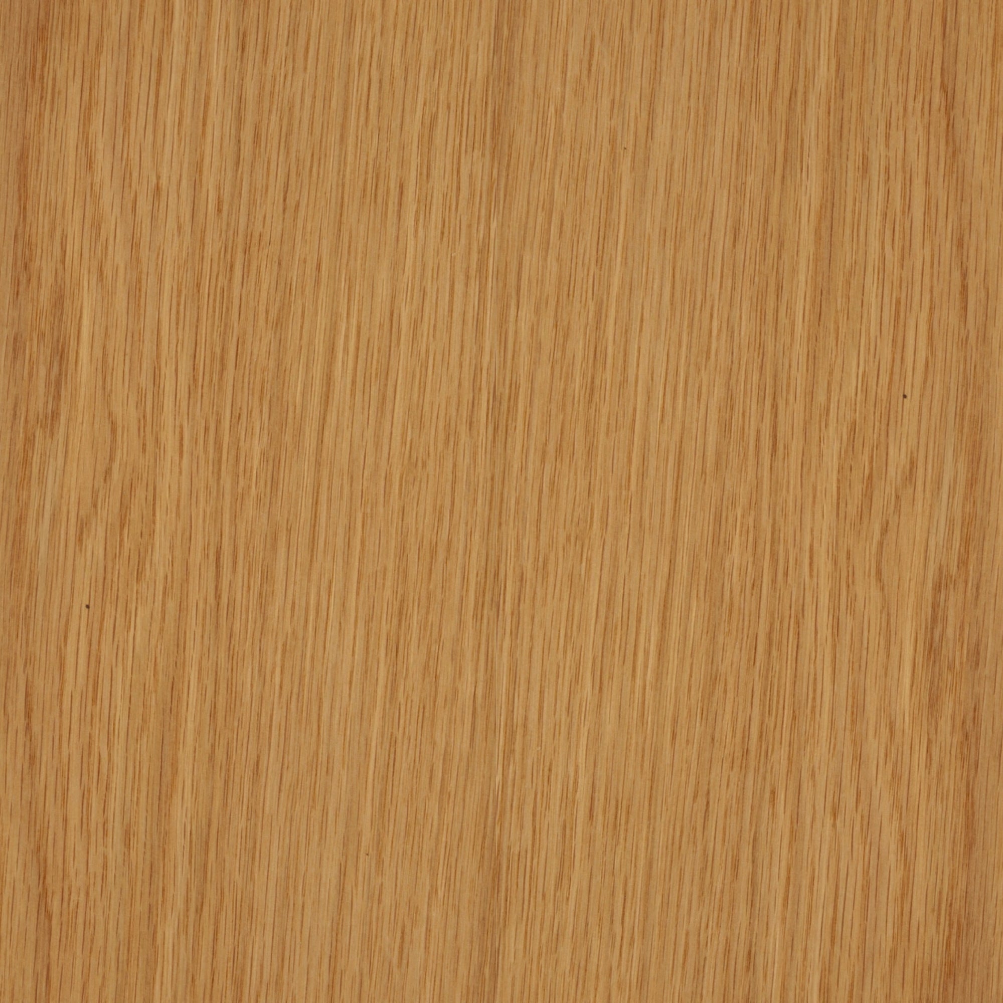 113100198 - Deco_Ek_MM