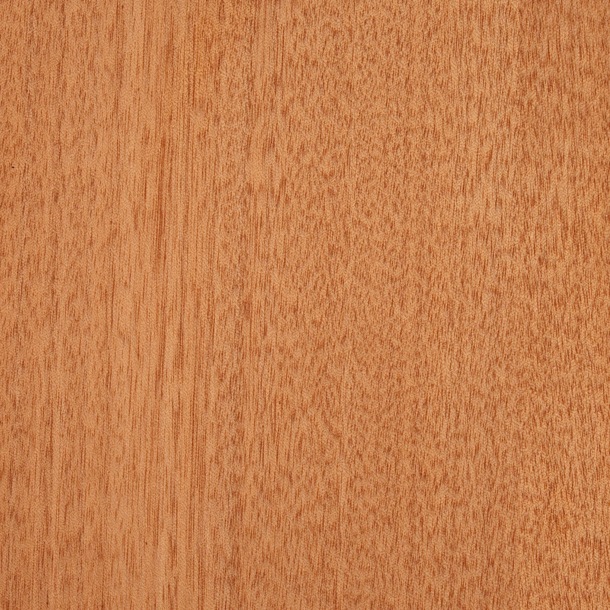 129900001 - Deco_Gaboon