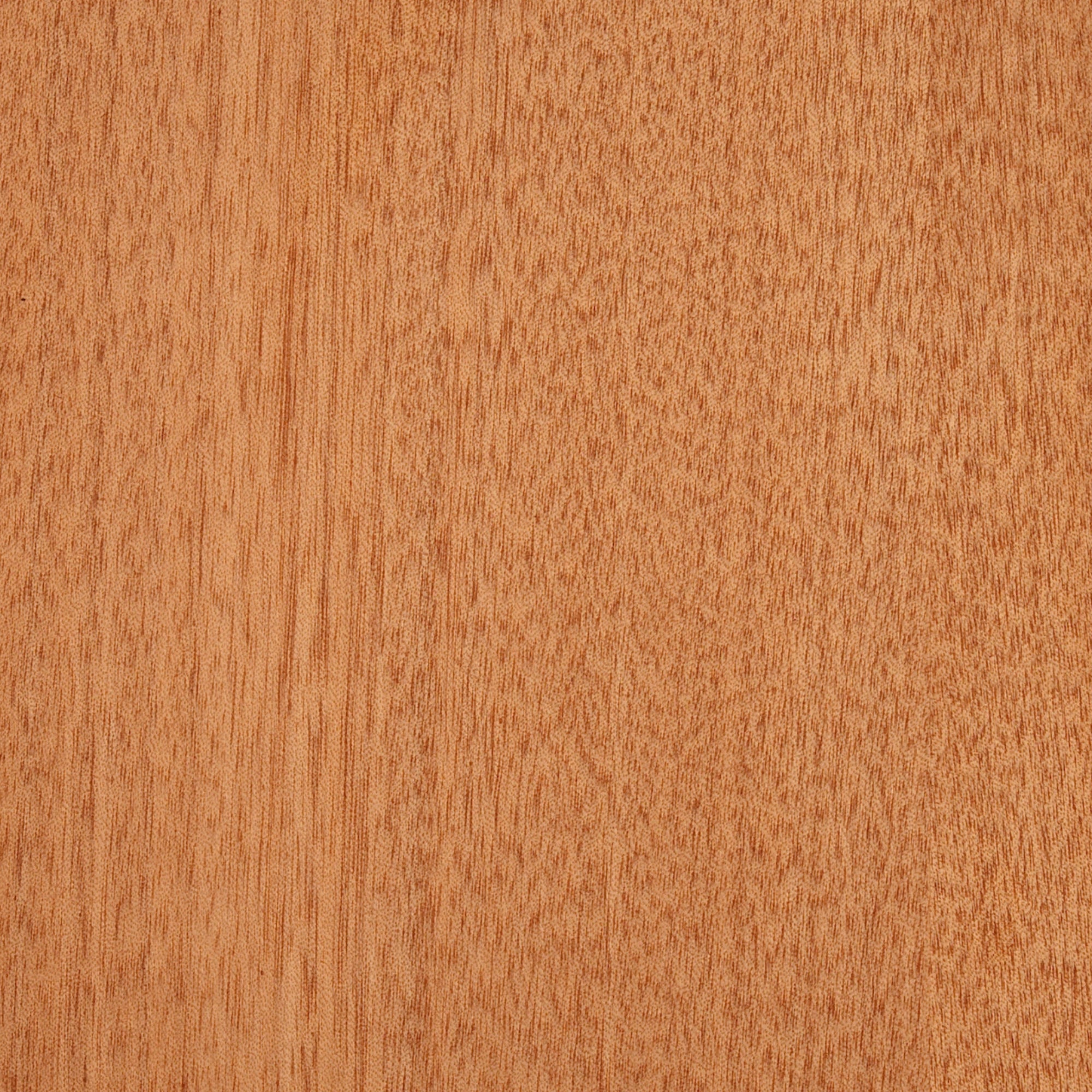 129900001 - Deco_Gaboon