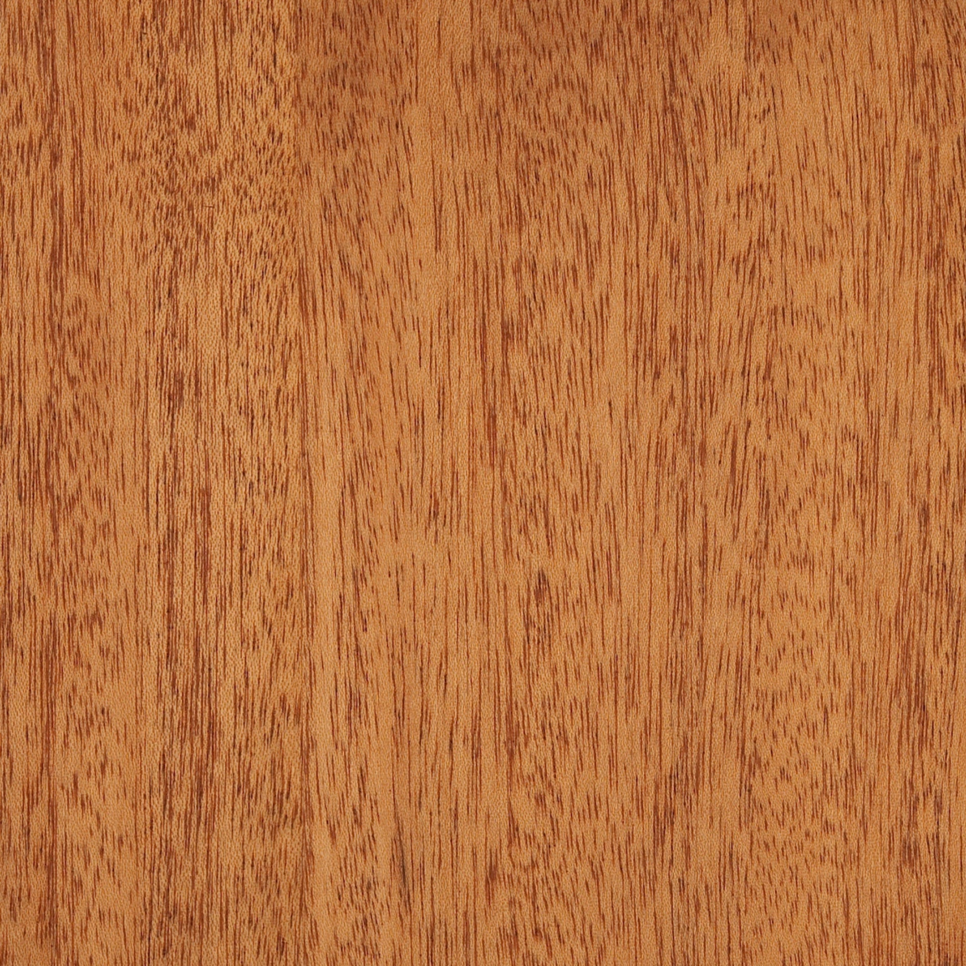 122100028 - Deco_Khaya