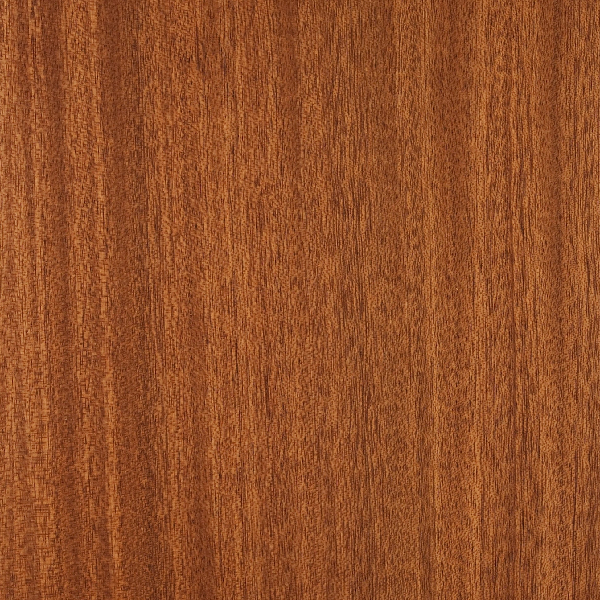 113100194 - Deco_Sapeli_CC