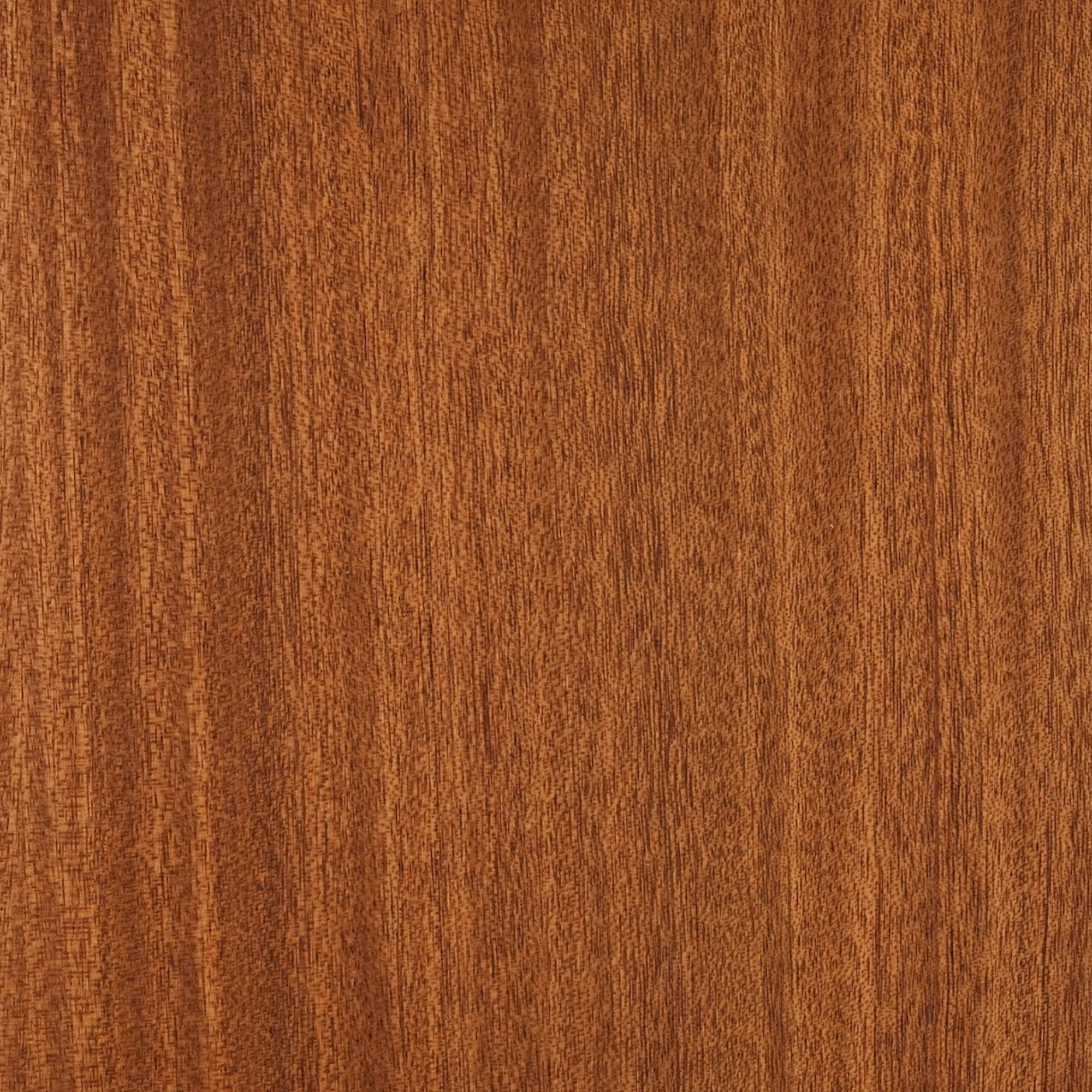 113100194 - Deco_Sapeli_CC