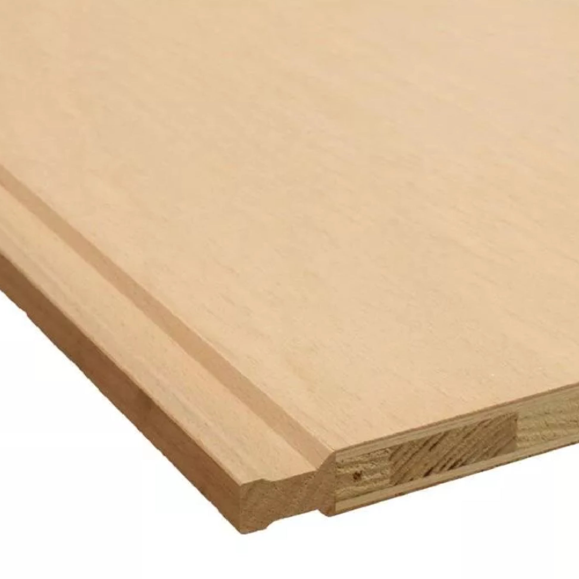 140100005 - Dragskiva