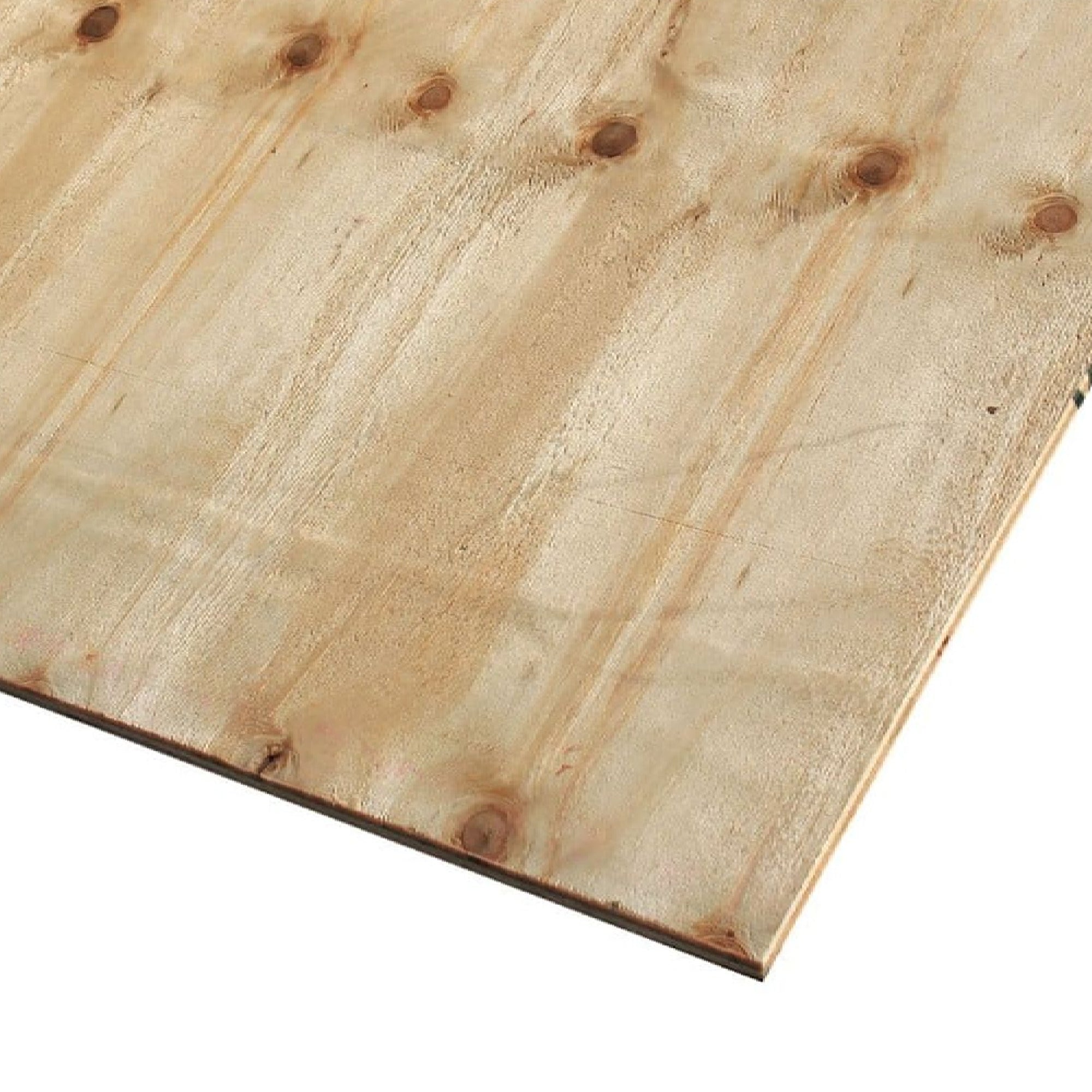 124100007 - Eliottis