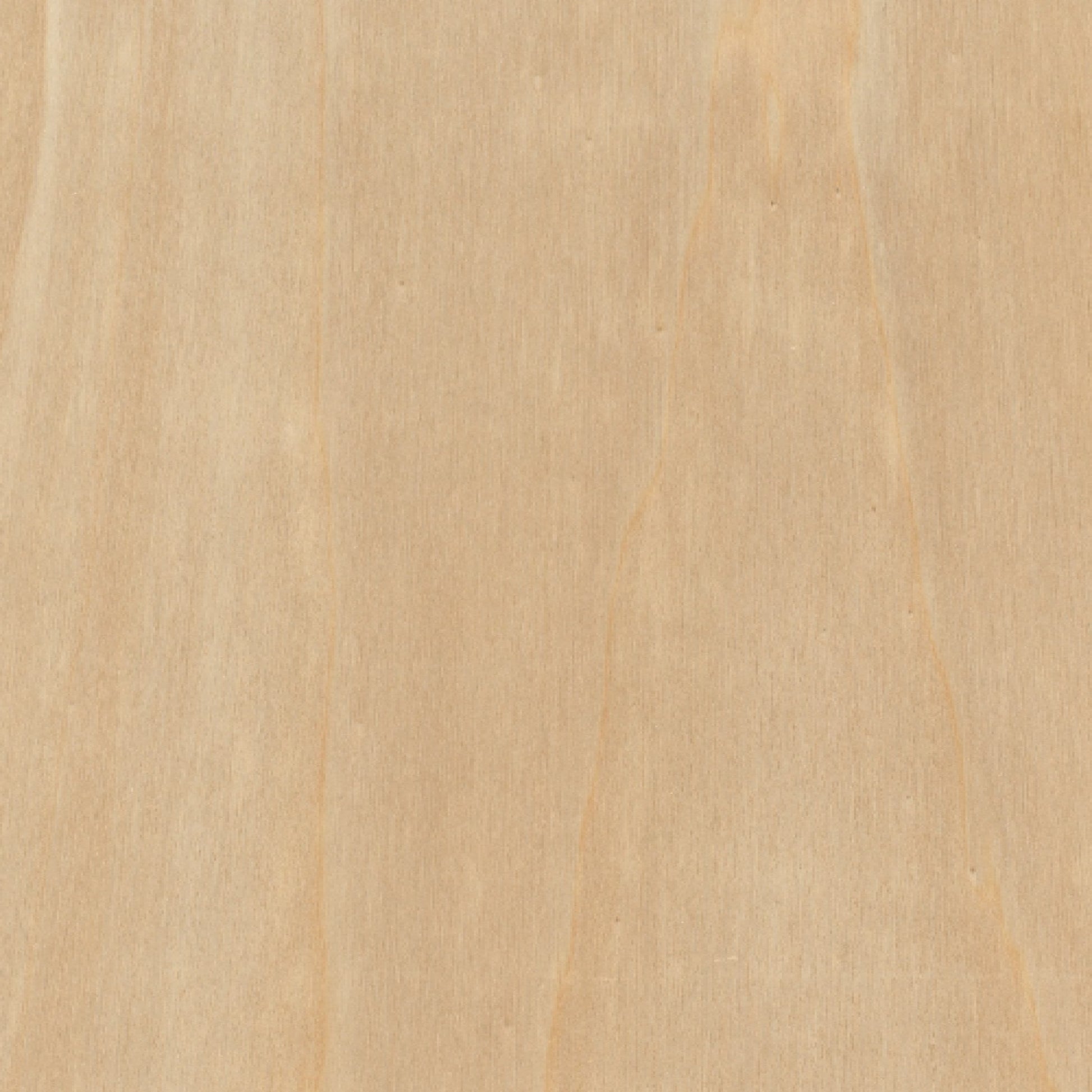 121200011 - Fireshield