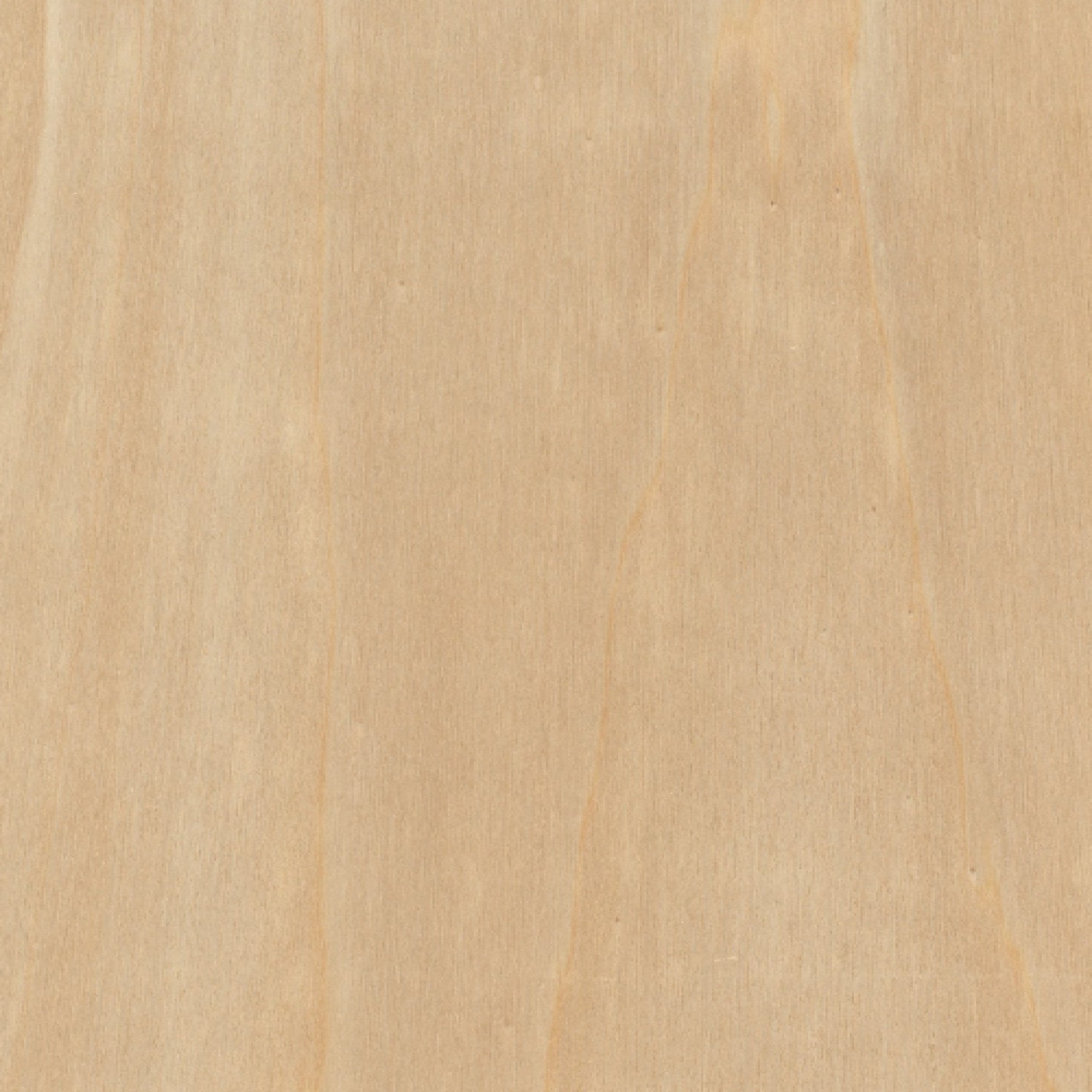 121200011 - Fireshield