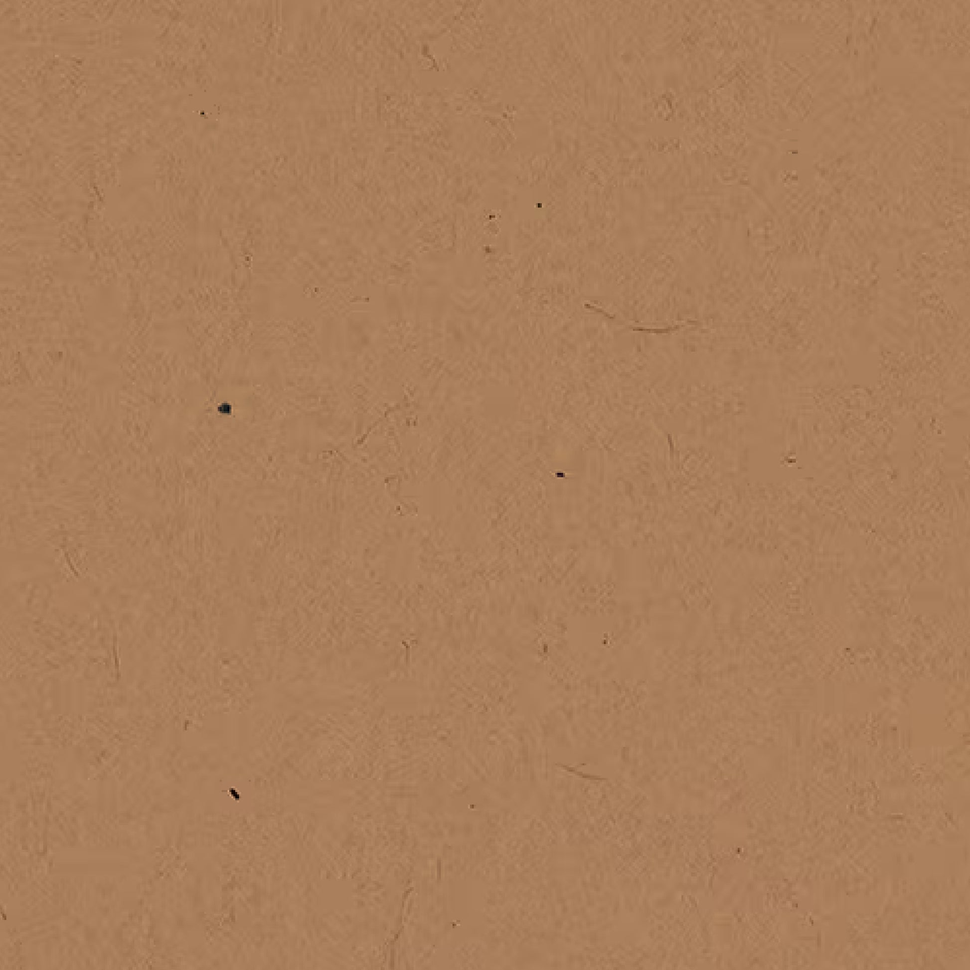 163000002 - Formica_8514