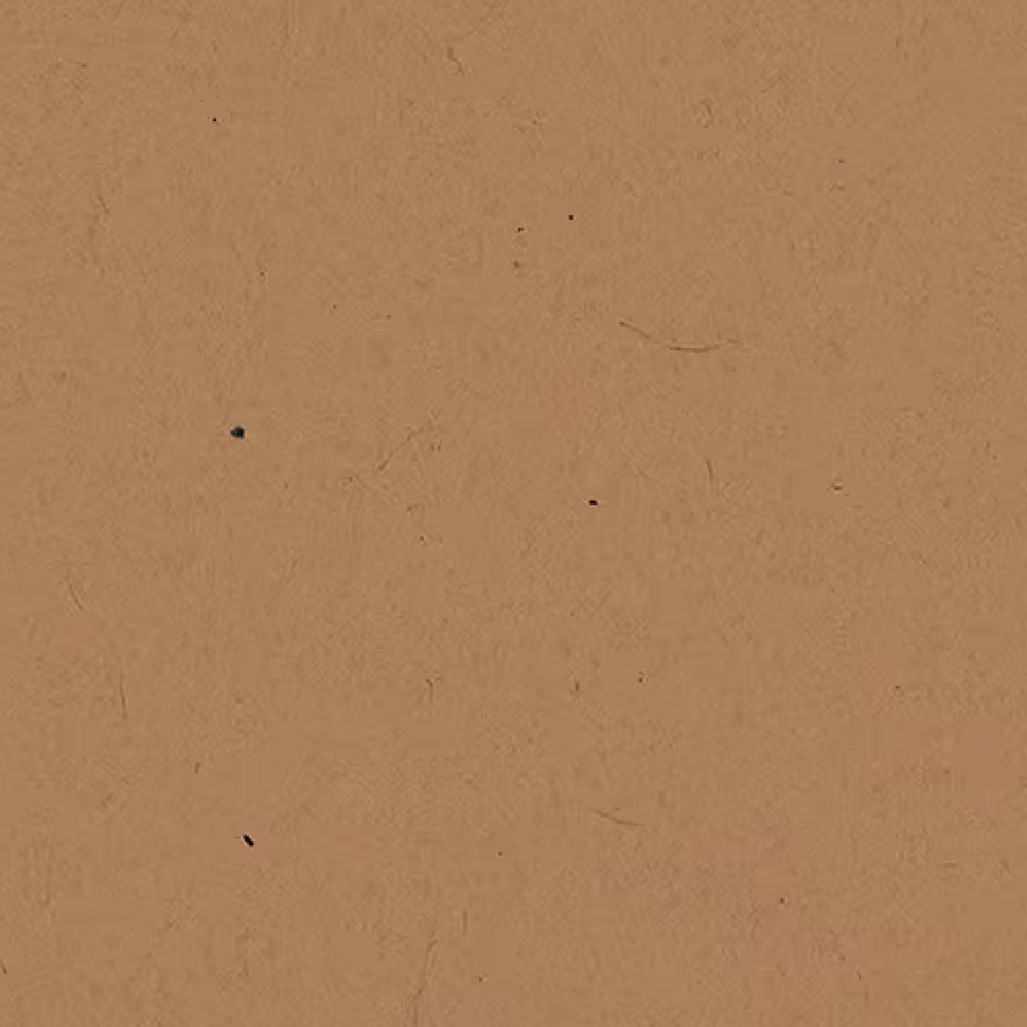 163000002 - Formica_8514