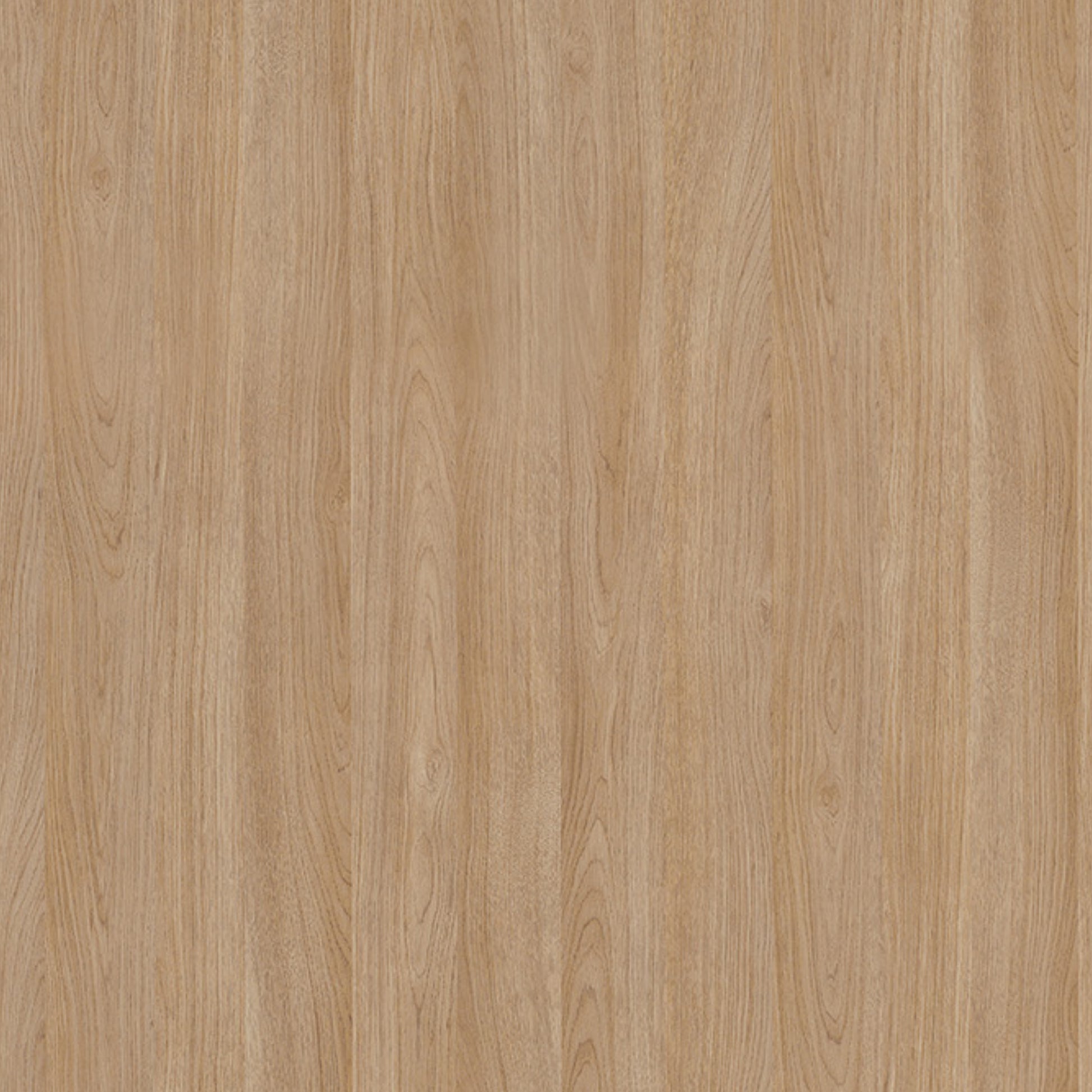 163000018 - Formica_F5374