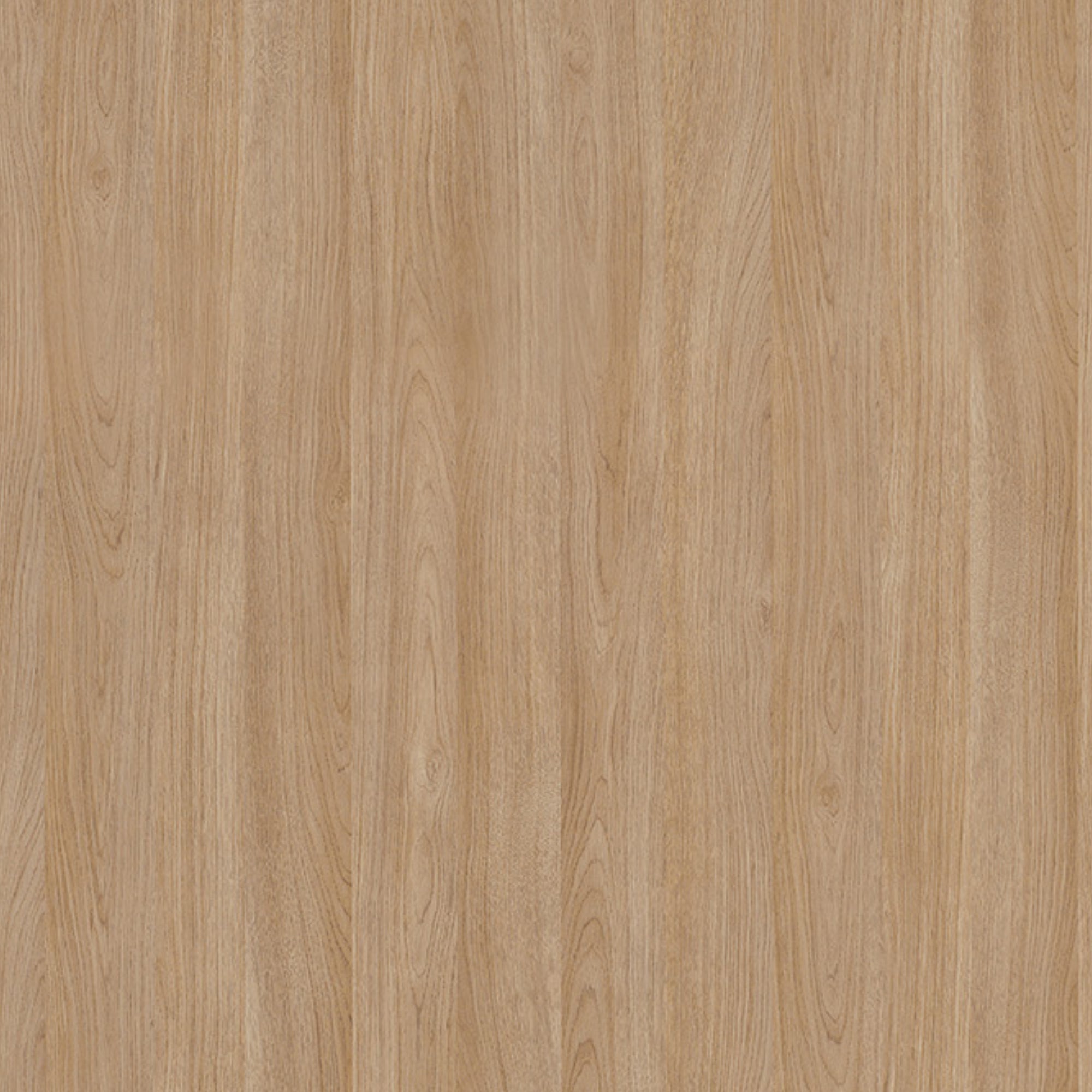 163000018 - Formica_F5374