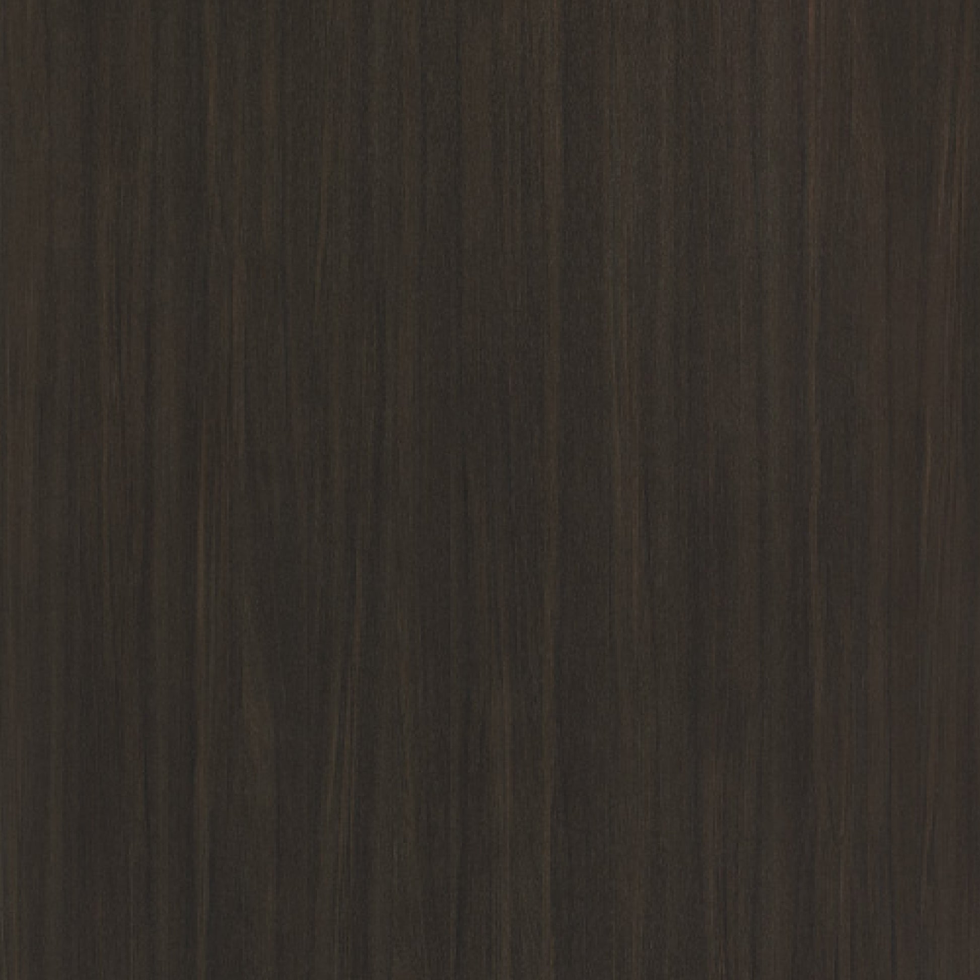 163000019 - Formica_F5489