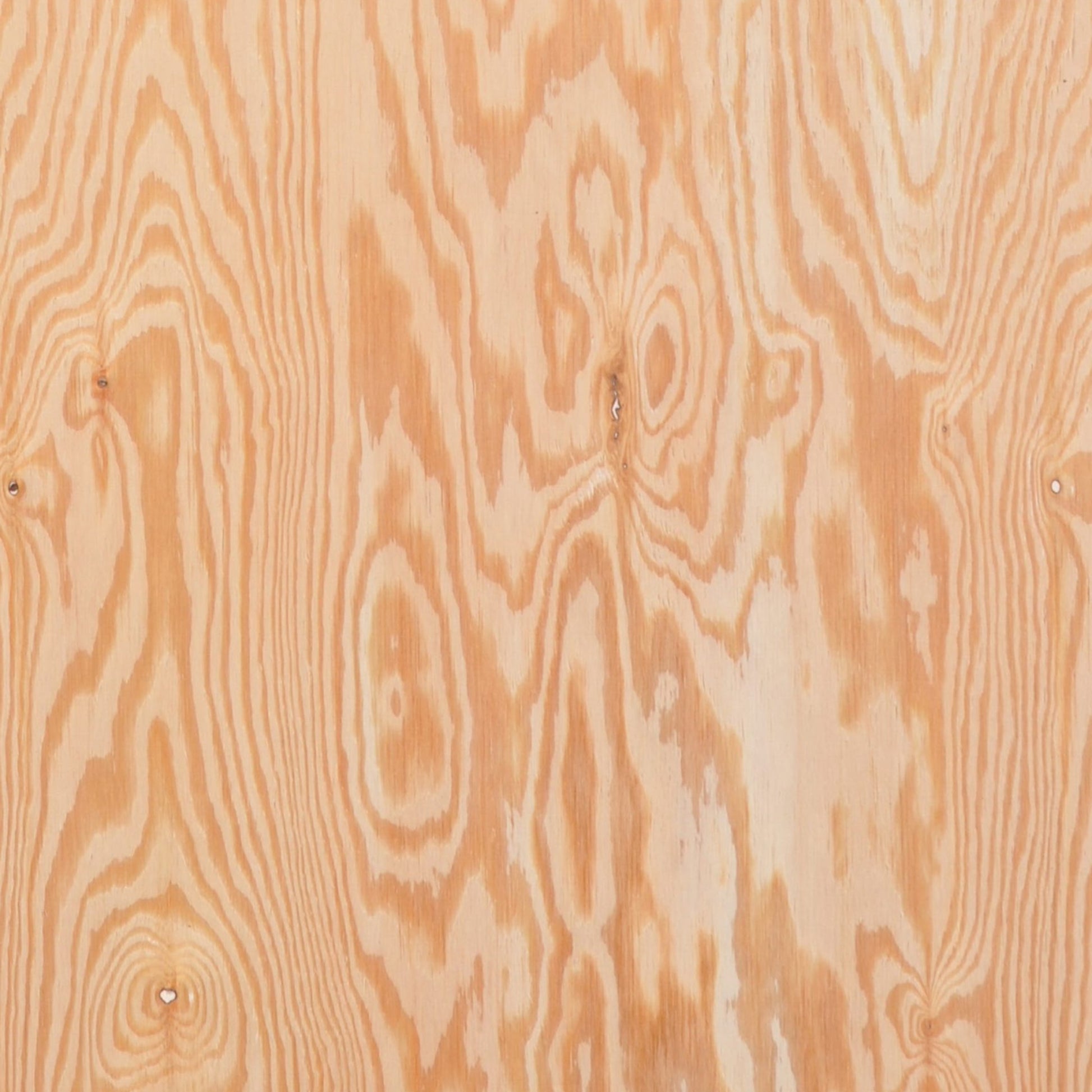 121100008 - Furply_B