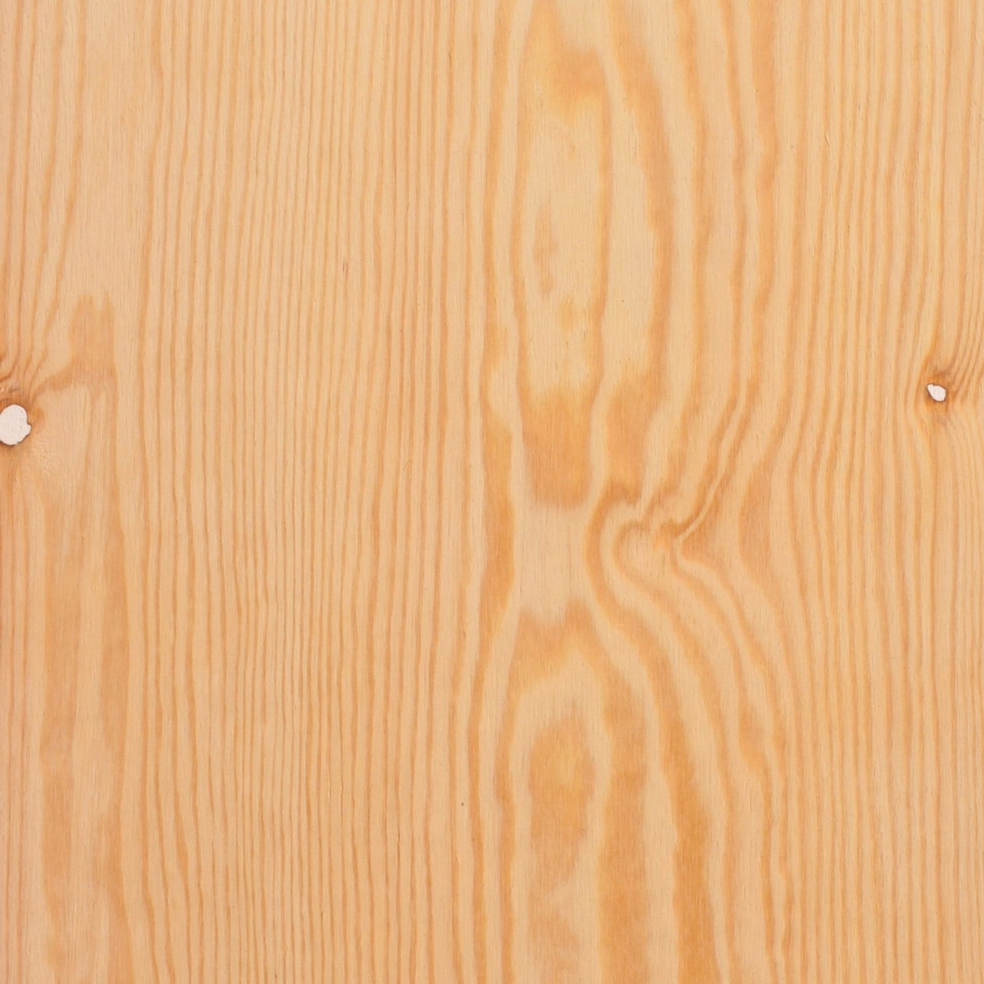 121100039 - Furply_BB