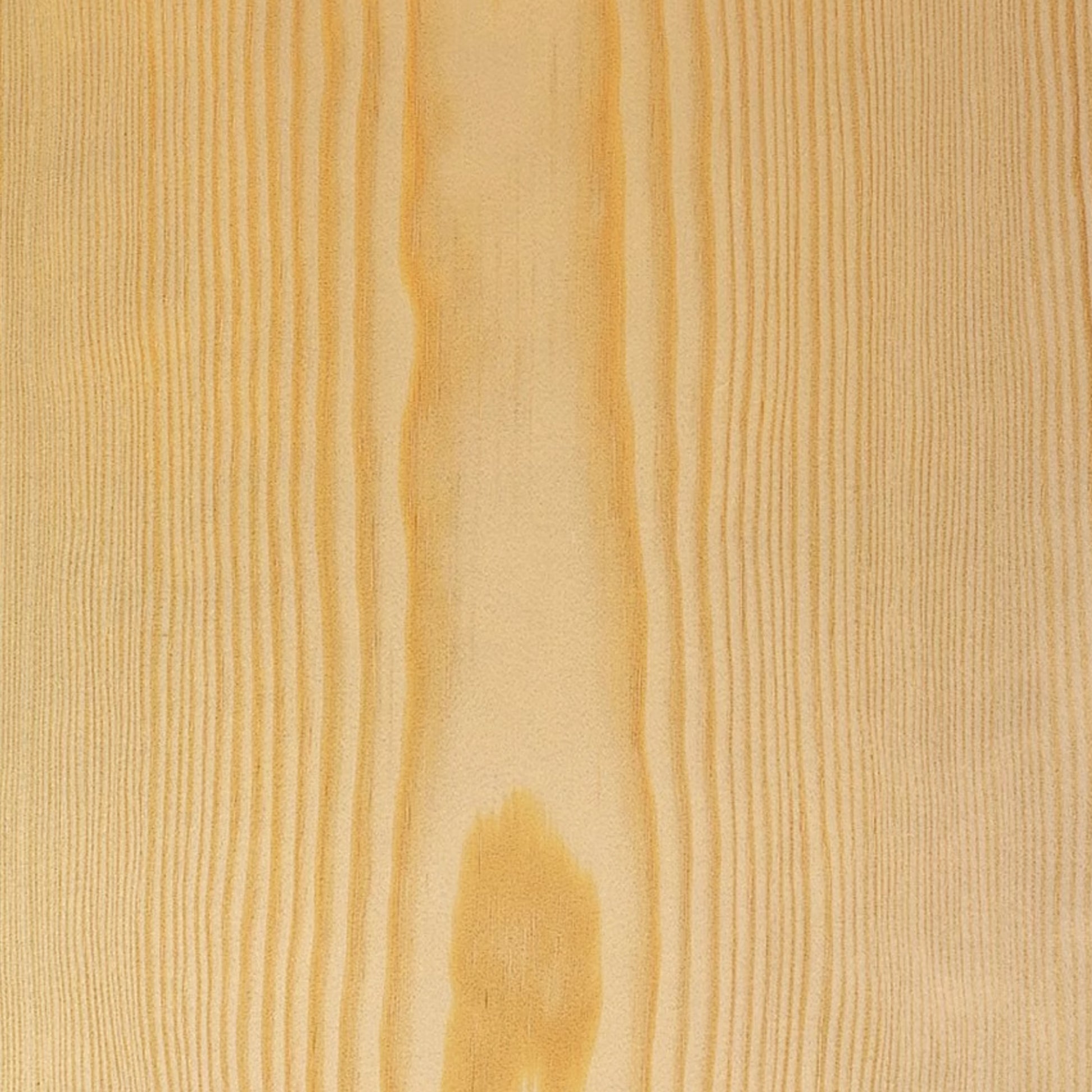 165000008 - Furufaner