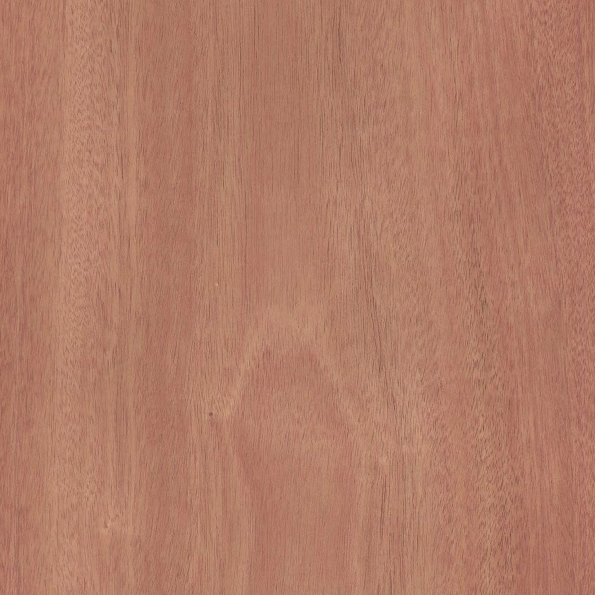 165000013 - Khayafaner