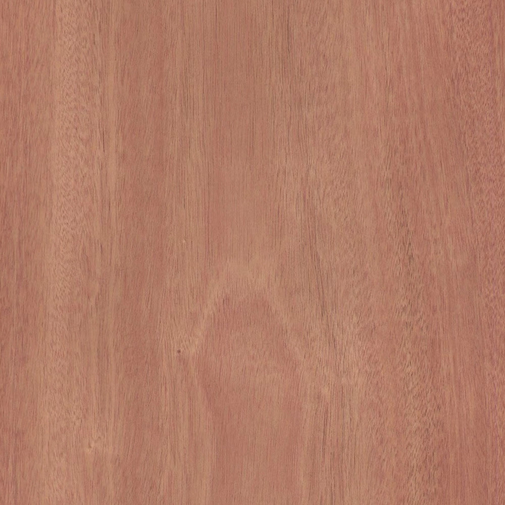 165000013 - Khayafaner