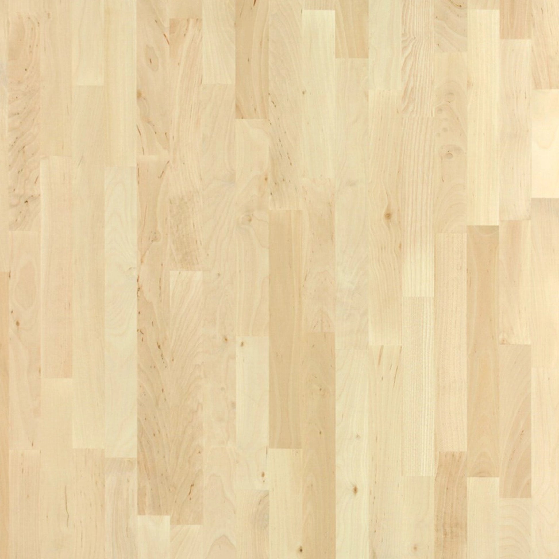 141200003 - Limfog_Bjork_FS