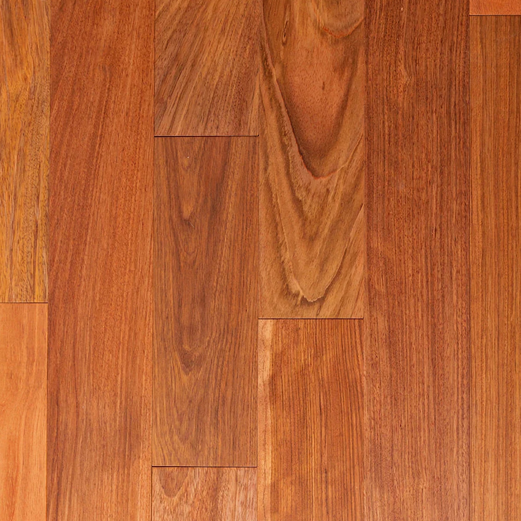 142100036 - Limfog_jatoba