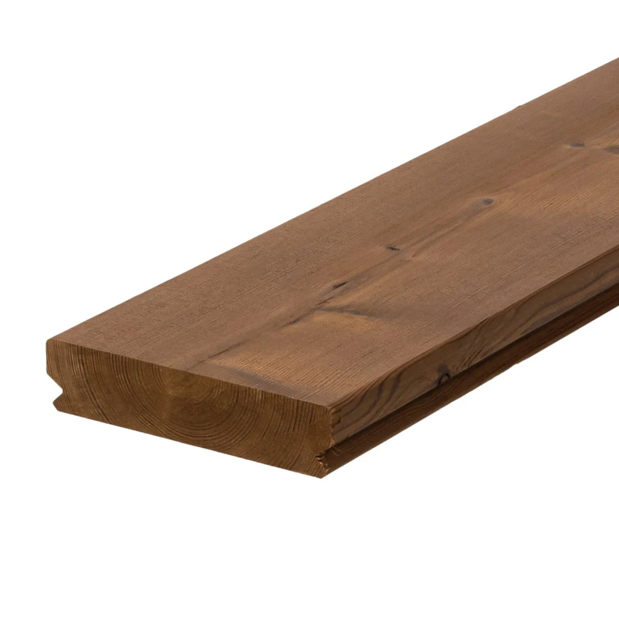 331000001 - Luna_26117